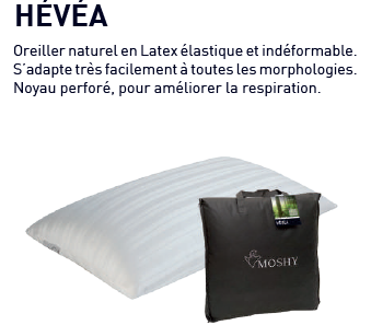 NOUVEAUTE OREILLER 100% LATEX